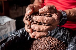Ministerio Administrativo promueve encuentros con productores de café de Jarabacoa